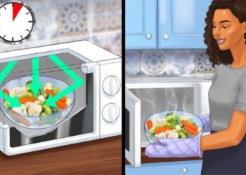 Tại sao hâm nóng thức ăn có thể làm mất chất dinh dưỡng và bạn có thể làm gì để tránh điều đó