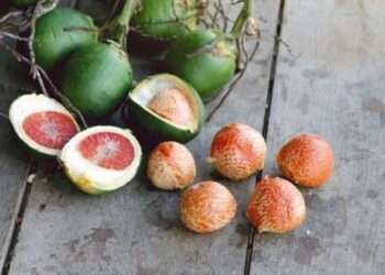 WHO: Có 6 loại thực phẩm thực sự gây ung thư, cố gắng ăn càng ít càng tốt
