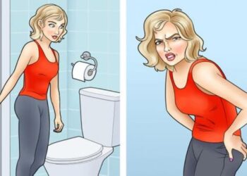 Tại sao giấy vệ sinh thực sự có thể gây hại cho chúng ta