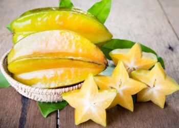Những hiểm họa từ ‘quả khế’ có thể bạn chưa biết