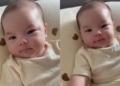 Phạm Quỳnh Anh đưa con gái út đi Đà Lạt chơi, nhìn gương mặt buồn ngủ mà cưng hết nấc