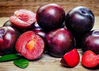 Những loại trái cây tốt cho xương khớp, bạn đã biết chưa?
